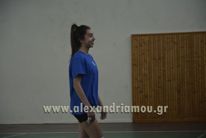 volley _1ogel-kassandra066